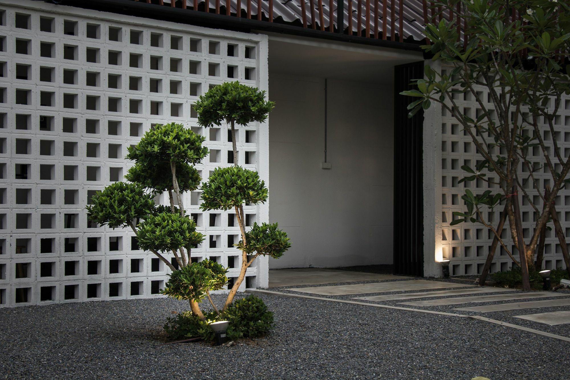 Zen Hostel Chiangmai Chiang Mai Zewnętrze zdjęcie